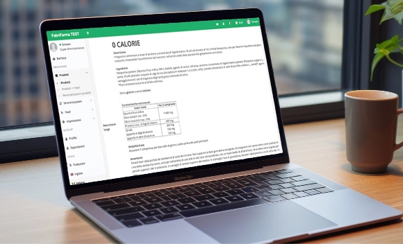Laptop con interfaccia FabriFarma aperta su un documento di gestione e-commerce.